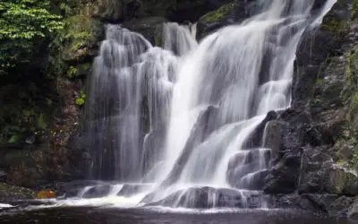 Killarney highlights